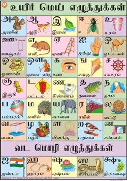 Printables Telugu Alphabets Chart alphabet charts exporter manufacturer supplier trading company tamil chart
