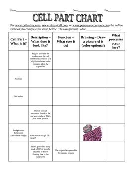 Printables Parts Of The Cell Worksheet plant cell parts worksheet with word bank name what makes you the metric tank wars ian keith teacherspayteachers com