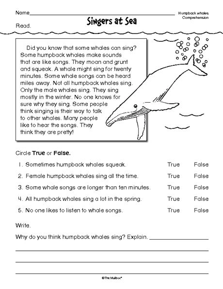 Printables Reading Worksheets For Second Grade second grade reading worksheets free davezan 1000 ideas about on pinterest worksheets