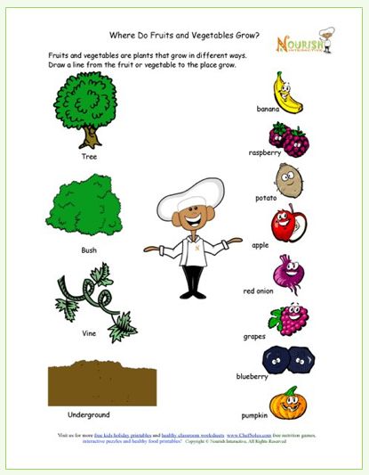 Printables Nutrition Worksheets For Elementary 1000 images about kindergarten foodnutrition on pinterest kids printable learning how food grows free gardening worksheets