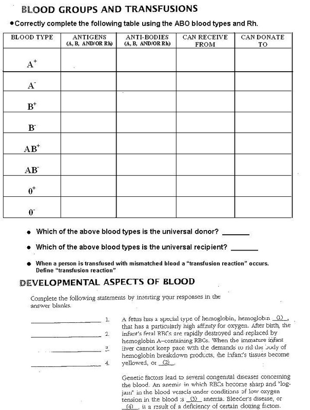 Printables Typing Worksheets blood typing worksheet plustheapp worksheet