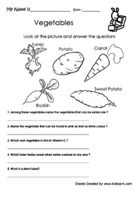 Printables What Is Science Worksheet science worksheets activity sheets for kids tests paid members