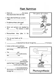 Printables Nutrition Worksheets For Elementary english teaching worksheets nutrition plant nutrition