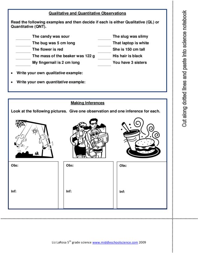 Printables Observations And Inferences Worksheet worksheet observation and inference kerriwaller 2