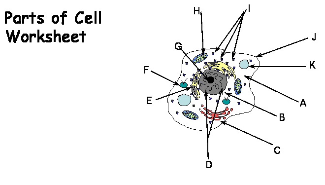 Printables Parts Of The Cell Worksheet parts of the cell ws figure 1