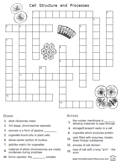printables-parts-of-the-cell-worksheet-tempojs-thousands-of-printable