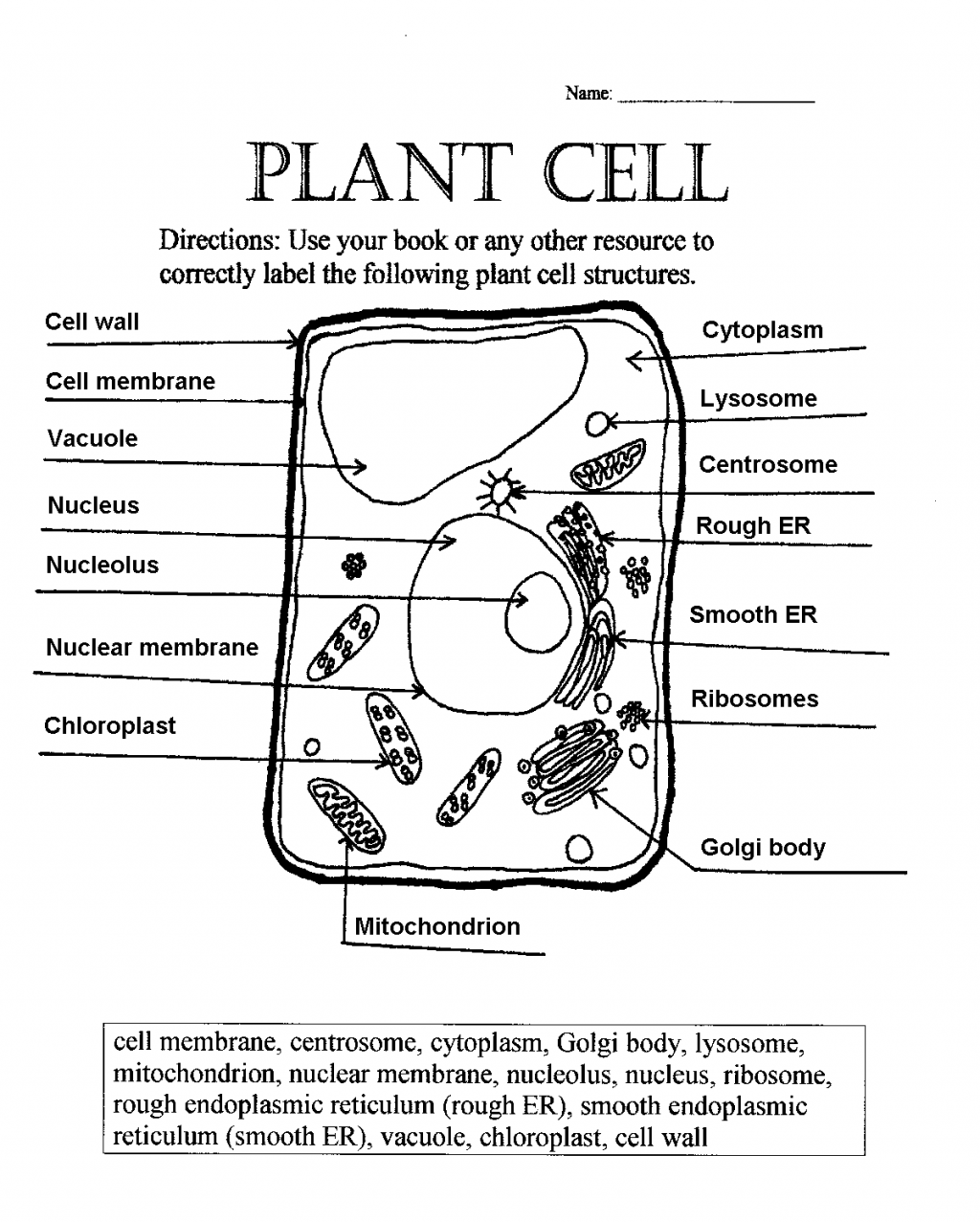 Printables Parts Of The Cell Worksheet of the cell worksheet versaldobip parts versaldobip