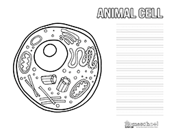 Printables Animal Cell Worksheet animal cell clipart worksheets notebooking page